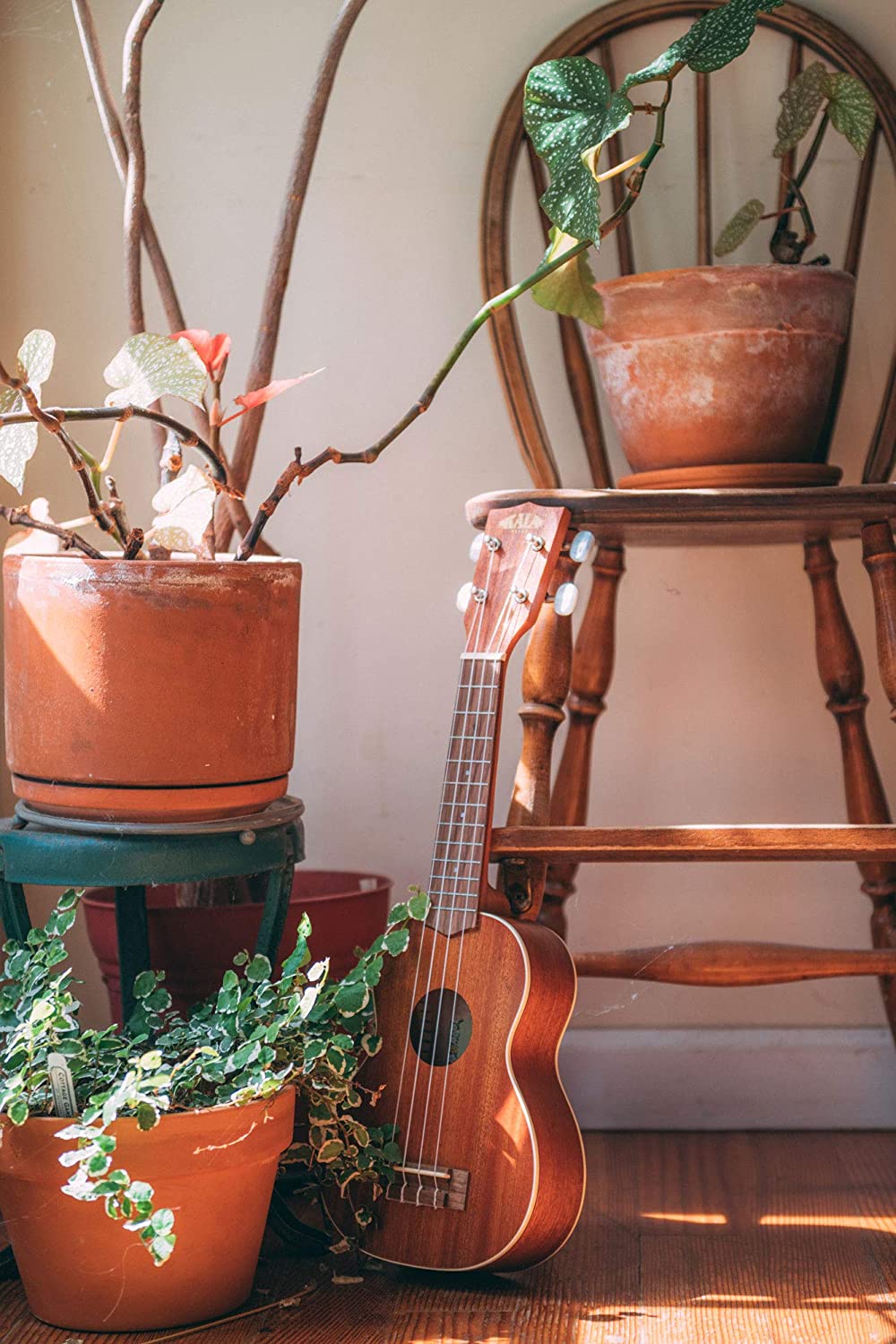 Satin Mahogany Soprano