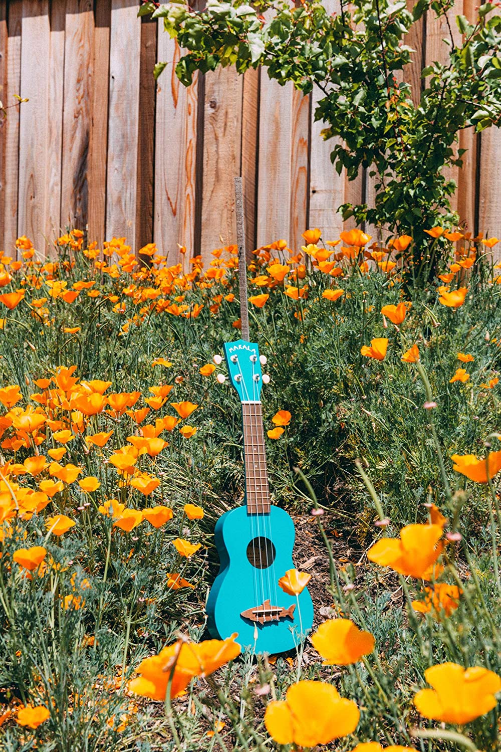 Mako Blue Shark Soprano Ukulele by Kala