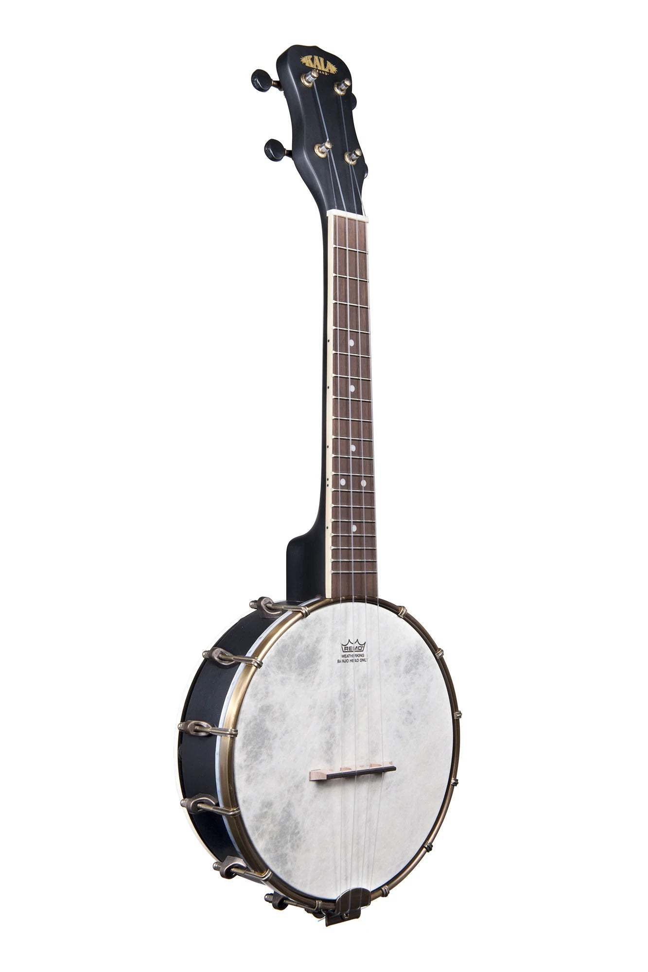 Black Maple Banjo Concert Ukulele