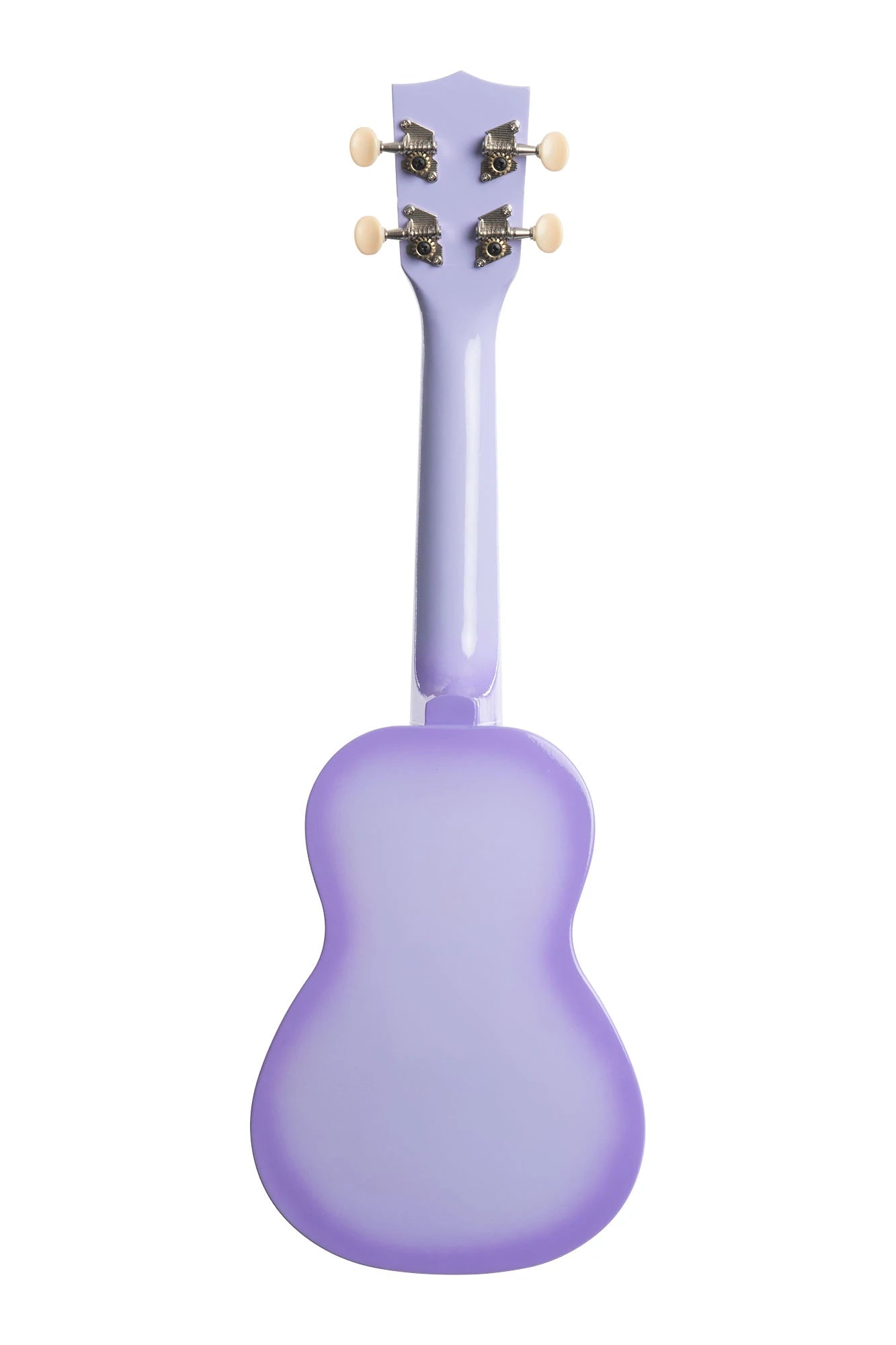 Purple Burst Dolphin