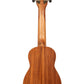 Kala Learn To Play Soprano Ukulele Starter Kit