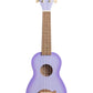 Purple Burst Dolphin