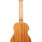 Nomad Acoustic-Electric U•BASS®
