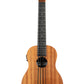 Nomad Acoustic-Electric U•BASS®