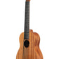 Nomad Acoustic-Electric U•BASS®